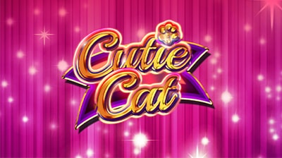 Cutie Cat